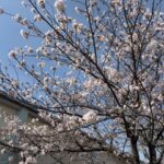 新年度スタート♪