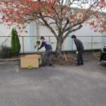 プロジェクト活動